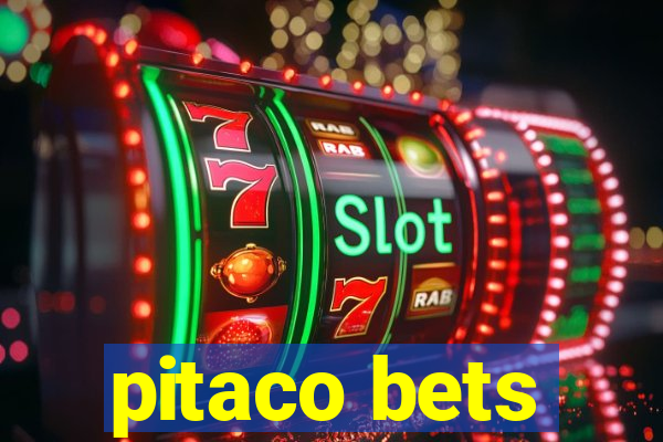 pitaco bets